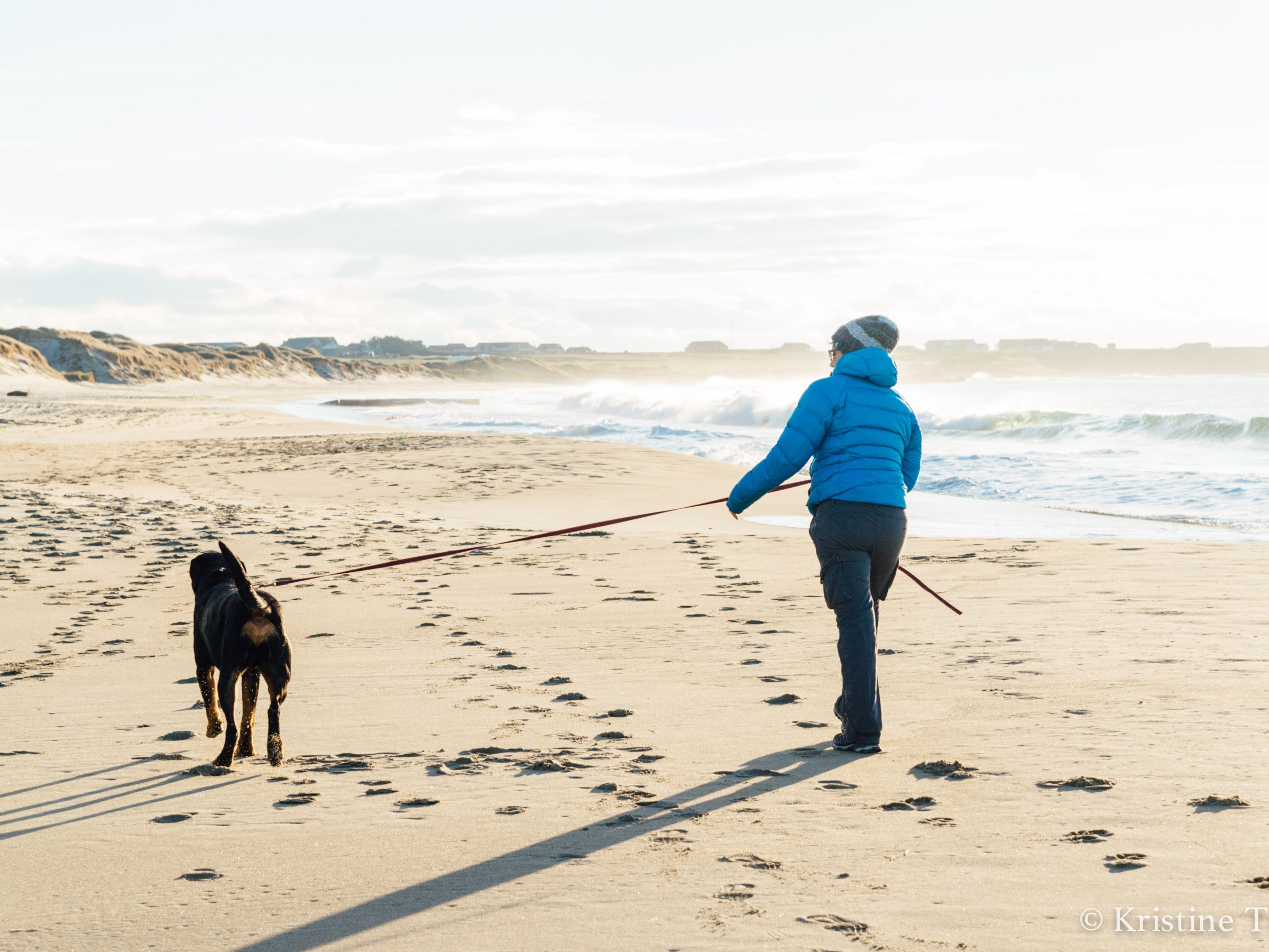 A person and a dog walking on a sandy beach