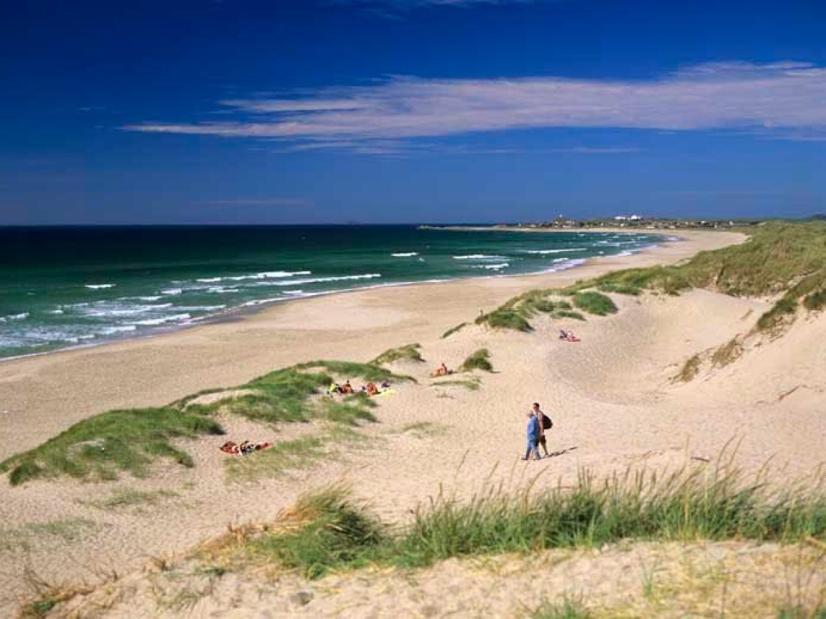 a group of people walking on a beach