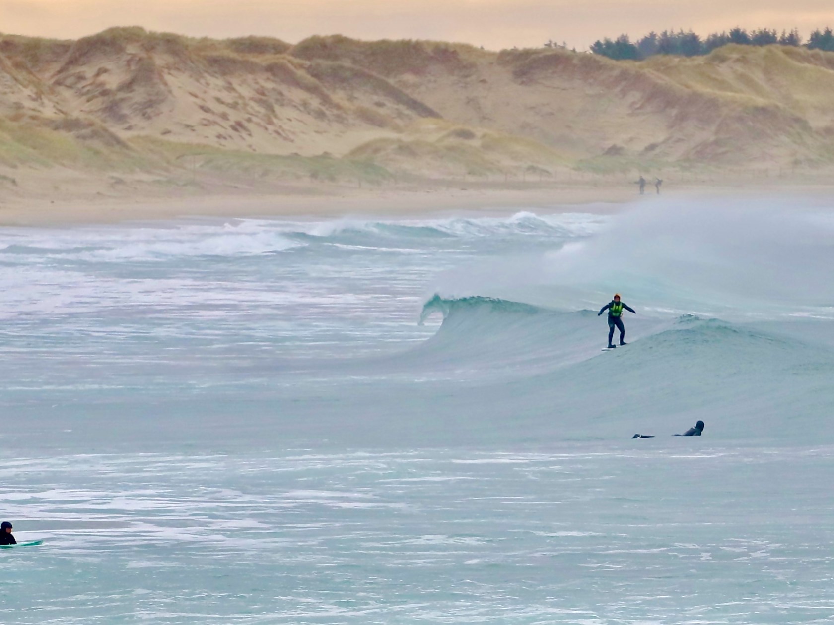 a group of people surfing in the ocean