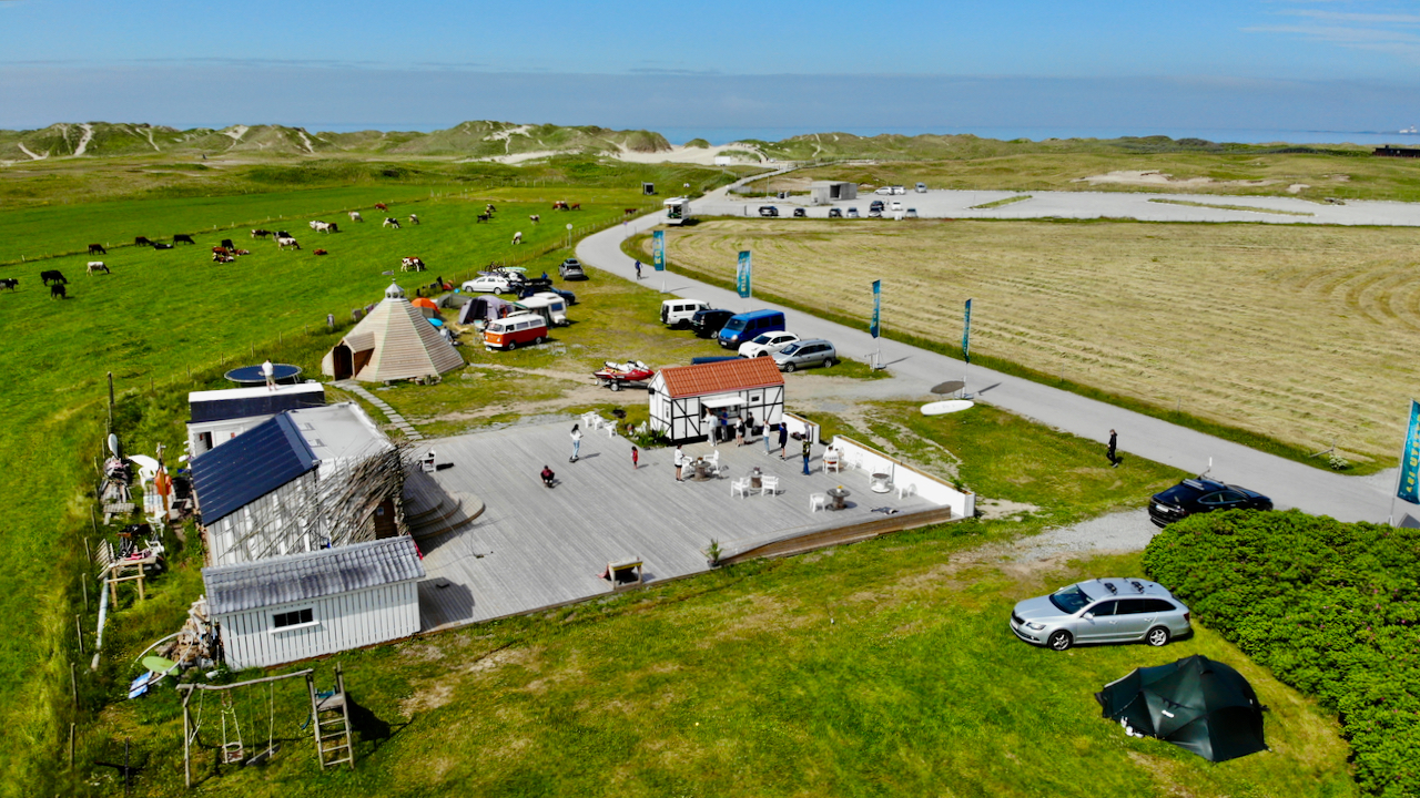 a herd of cattle standing on top of a lush green field